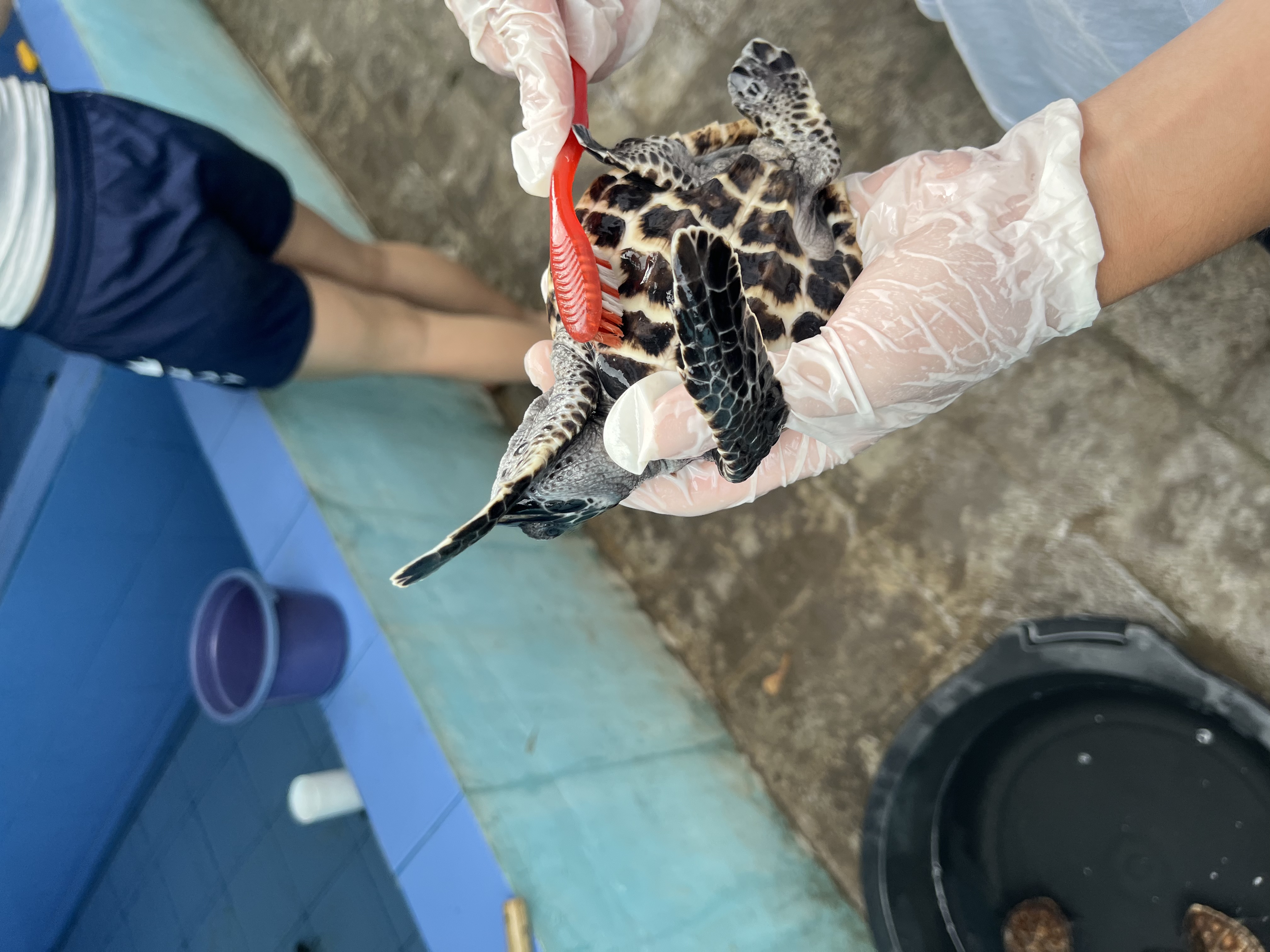 [2월1일 출발 / 7박9일] 발리 누사페니다 2026년 겨울 가족 해외봉사