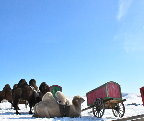 activity_detail_image