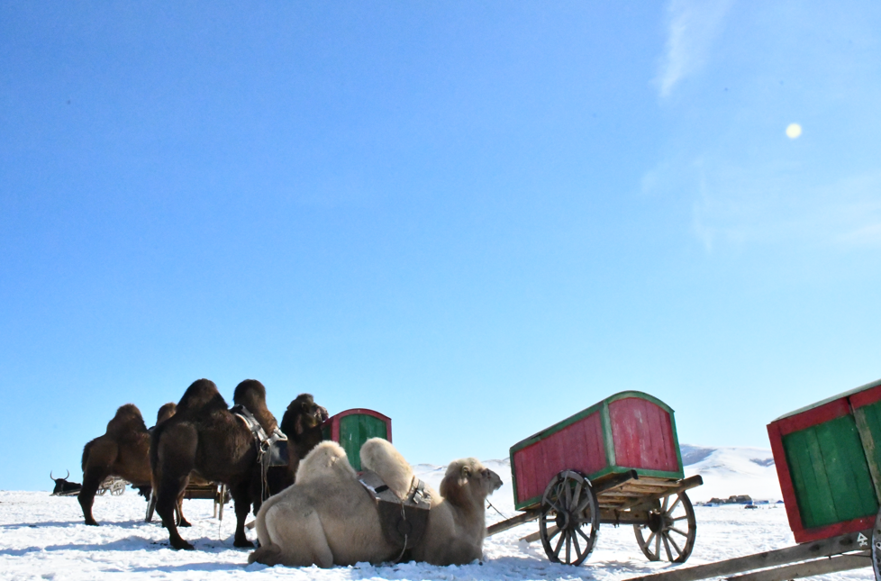[모코투어] [3박4일] 몽골 중부코스 오기호수 + 미니사막 + 테를지 노마딕 투어
