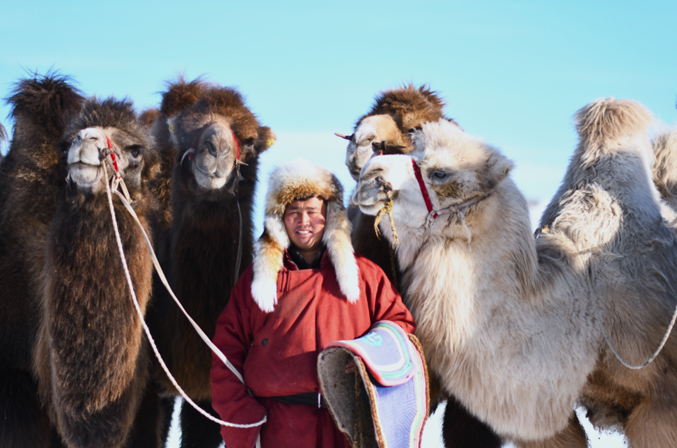[모코투어] [4박5일] 몽골 중부코스 오기호수 + 쳉헤르 온천 + 미니사막 + 테를지 노마딕 투어
