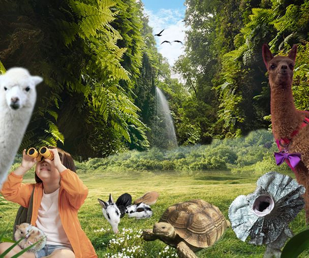 activity_detail_image