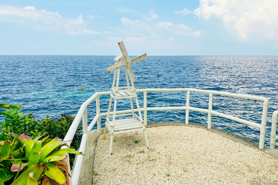 [몽키호핑] 보홀 나팔링 정어리떼 쁘띠 호핑 (브런치 박스, 오션뷰 카페, 수중 촬영)