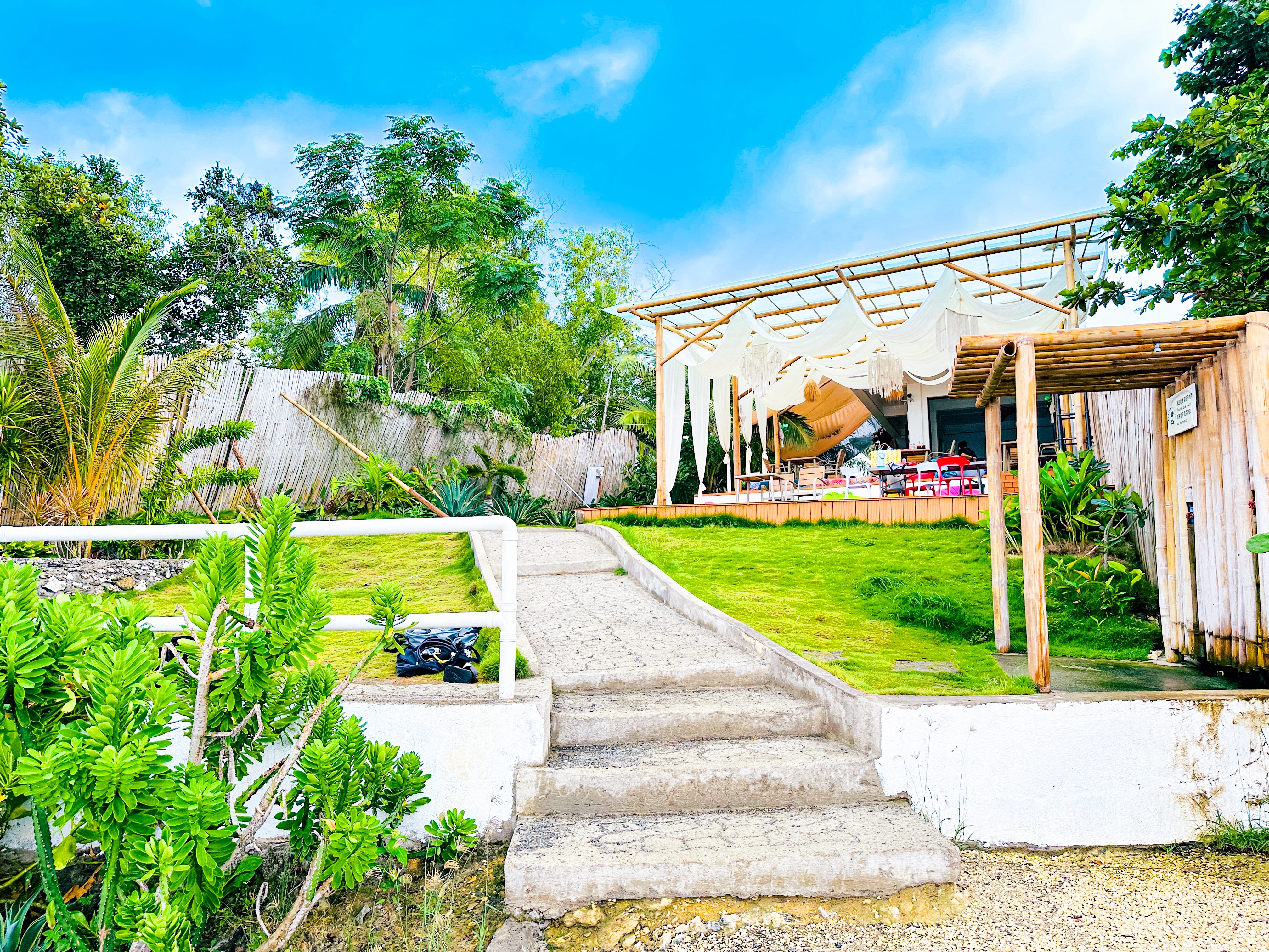 [몽키호핑] 보홀 나팔링 정어리떼 쁘띠 호핑 (브런치 박스, 오션뷰 카페, 수중 촬영)