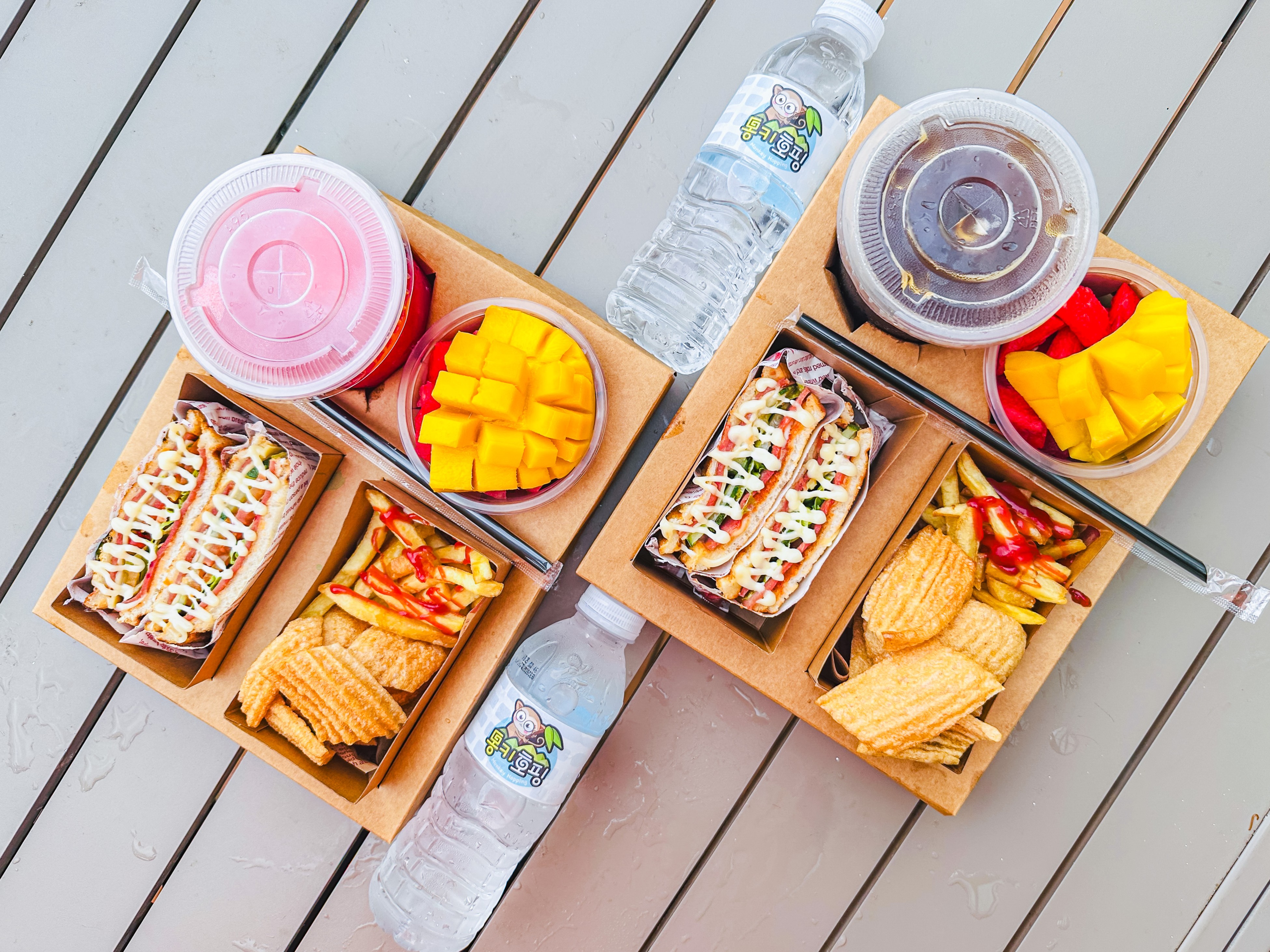 [몽키호핑] 보홀 나팔링 정어리떼 쁘띠 호핑 (브런치 박스, 오션뷰 카페, 수중 촬영)