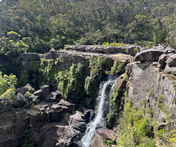 activity_detail_image