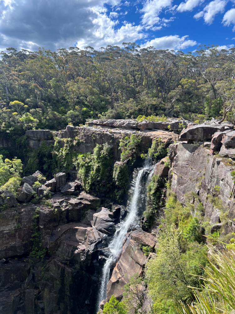 [아워스토리] 시드니 남부 레인포레스트·폭포·웜뱃 올데이 프라이빗 자연 투어