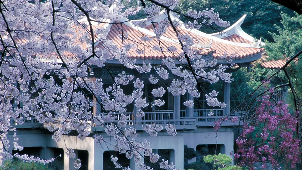 新宿御苑 入場チケット