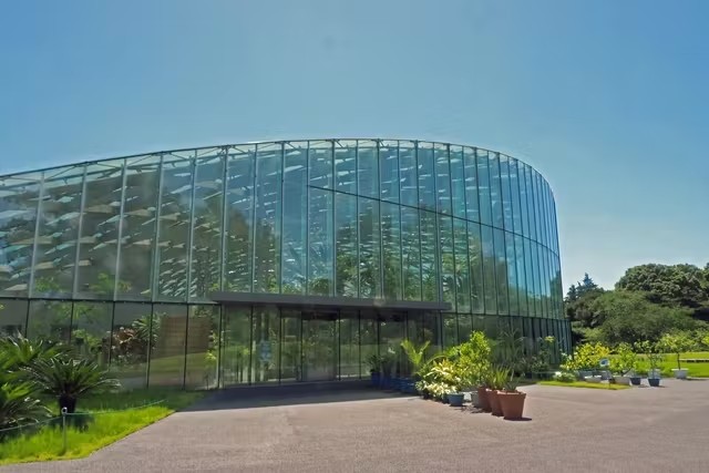 新宿御苑 入場チケット