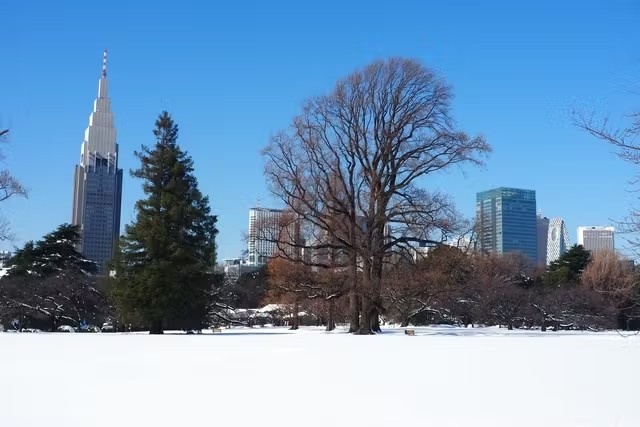 新宿御苑 入場チケット