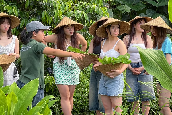 Ubud Firefly and Taro Village Tour with Dinner