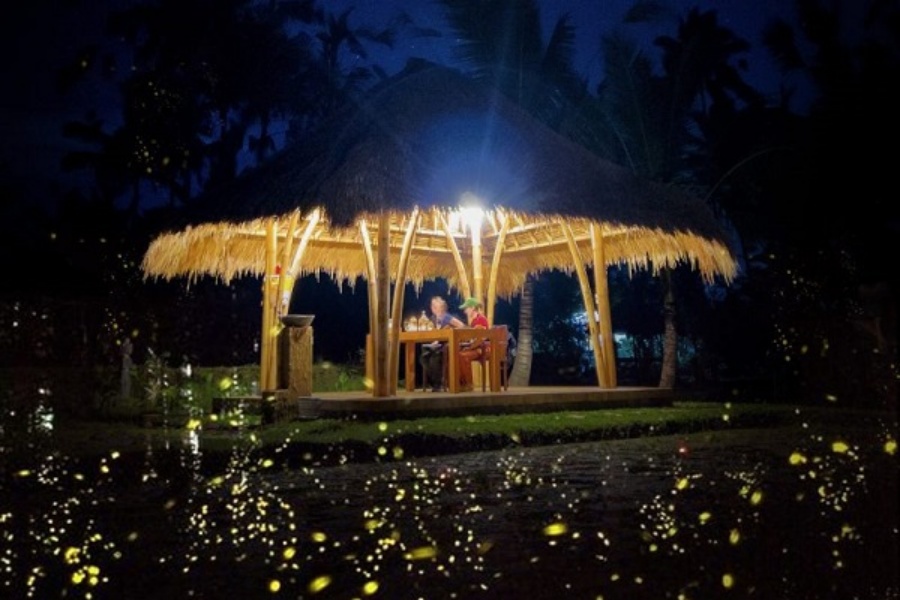 Ubud Firefly and Taro Village Tour with Dinner