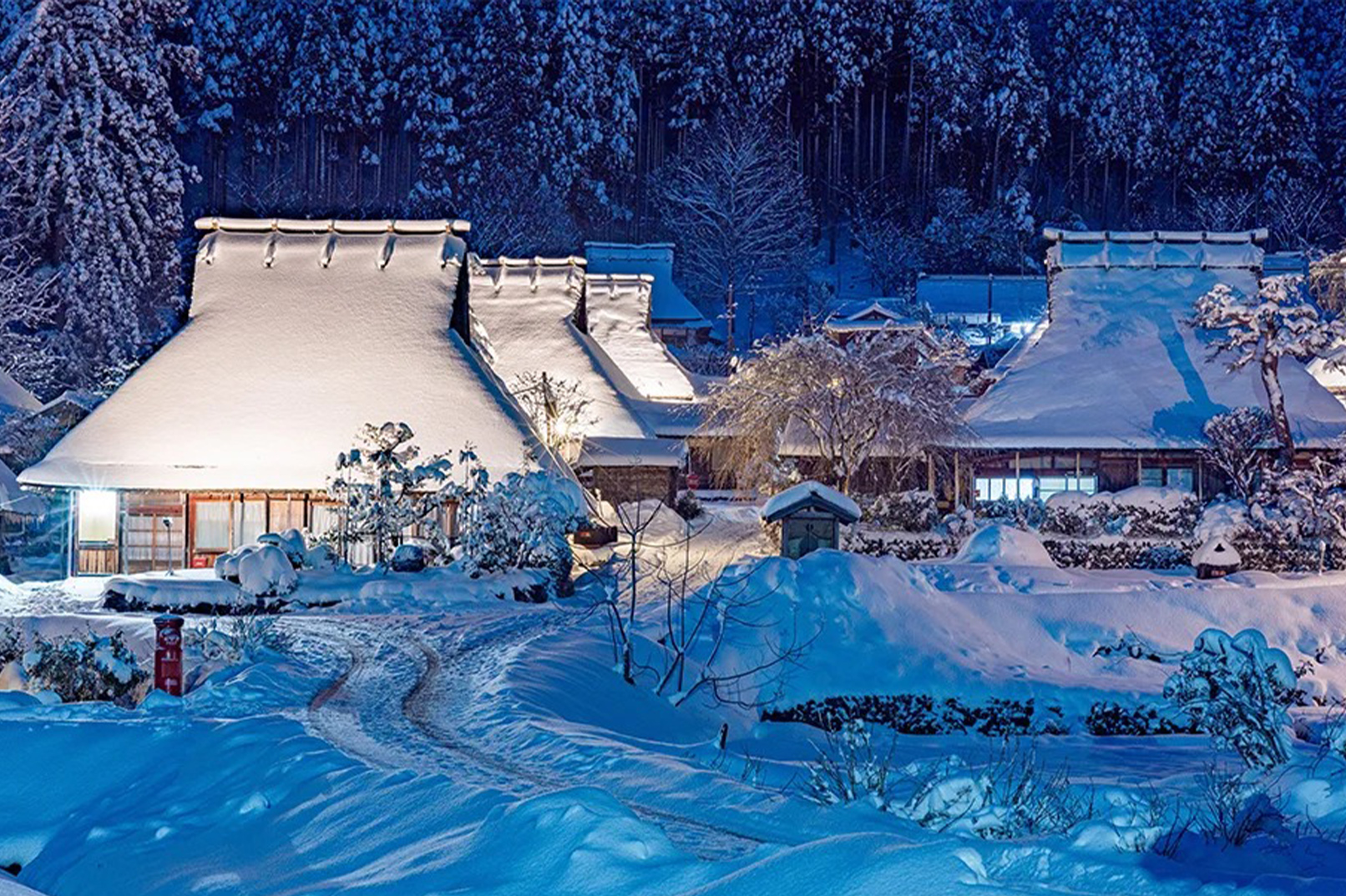 【期間限定】天橋立・伊根の舟屋＆美山かやぶきの里ライトアップ 日帰りツアー