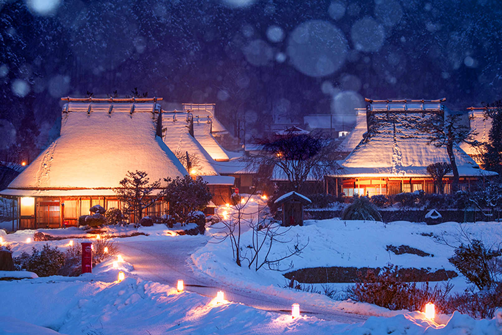 【期間限定】天橋立・伊根の舟屋＆美山かやぶきの里ライトアップ 日帰りツアー