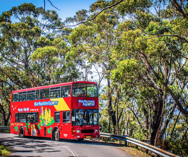 activity_detail_image