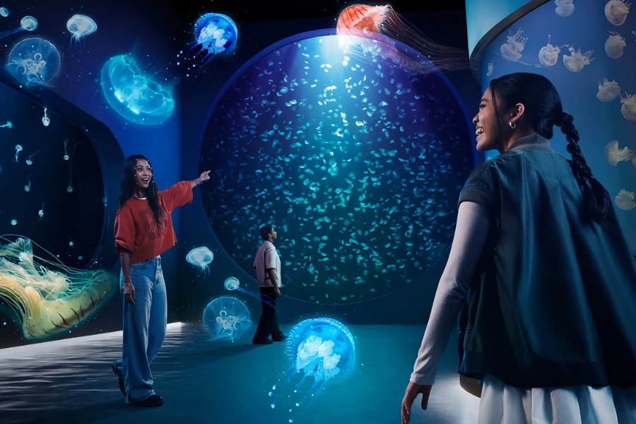 Singapore Oceanarium Ticket + Immersive Programme Experience