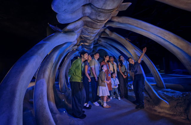 Singapore Oceanarium Ticket + Immersive Programme Experience