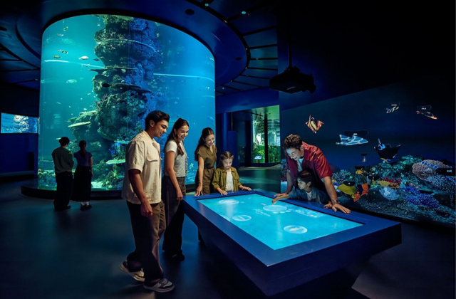 Singapore Oceanarium Ticket + Immersive Programme Experience