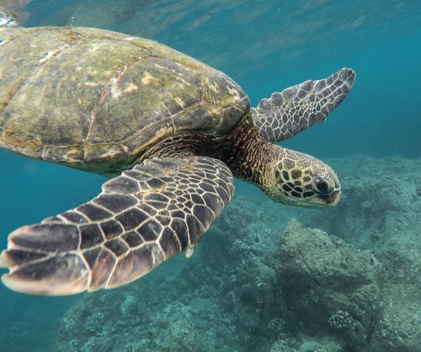 activity_detail_image