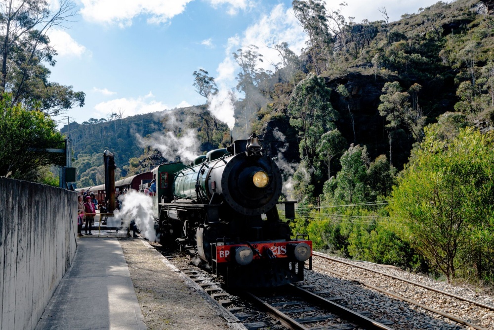 시드니 블루마운틴 하이라이트 시닉월드 & 지그재그 증기 기관차 일일 투어