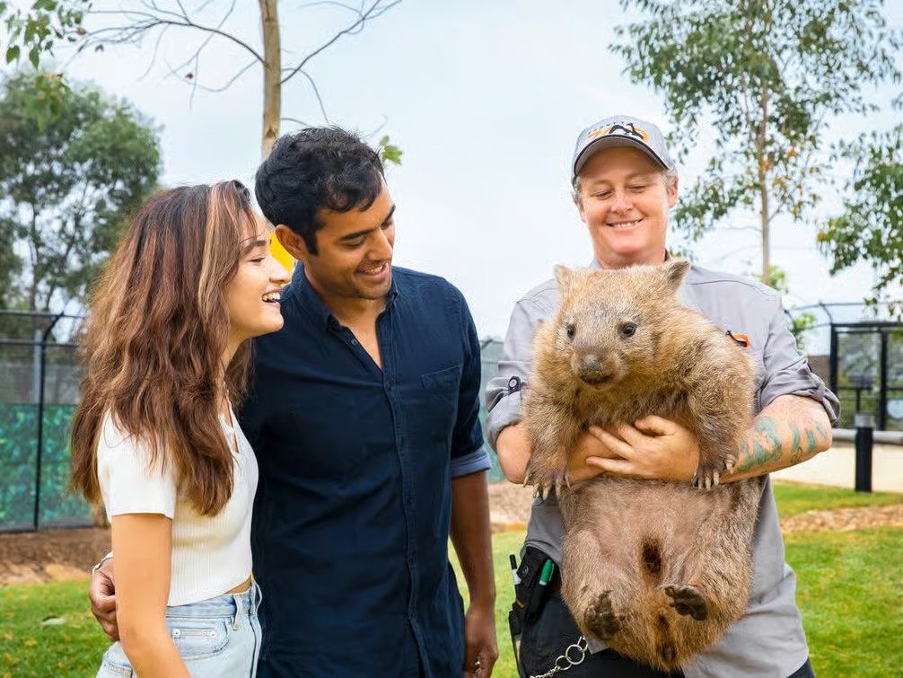 시드니 블루마운틴 하이라이트 시닉월드 & 시드니 동물원 일일 투어