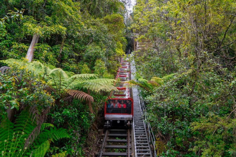시드니 블루마운틴 하이라이트 시닉월드 & 시드니 동물원 일일 투어