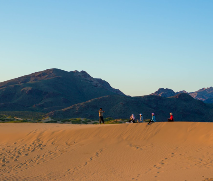 [노니투어] [3박4일] 몽골 중남부 감성! 바가가즈링촐로 + 테를지 + 미니고비 투어