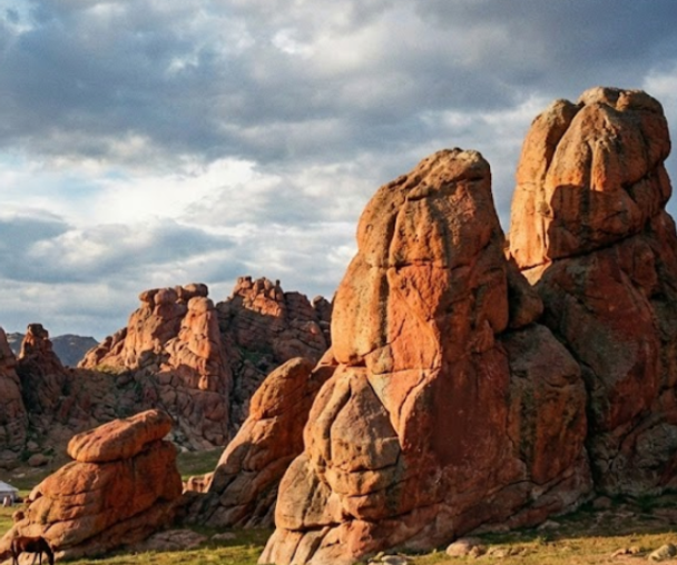 activity_detail_image