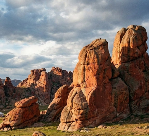 [노니투어] [3박4일] 몽골 중남부 감성! 바가가즈링촐로 + 테를지 + 미니고비 투어