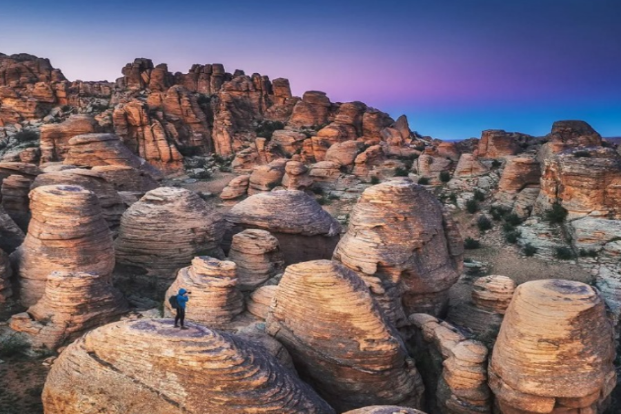 [노니투어] [3박4일] 몽골 중남부 감성! 바가가즈링촐로 + 테를지 + 미니고비 투어
