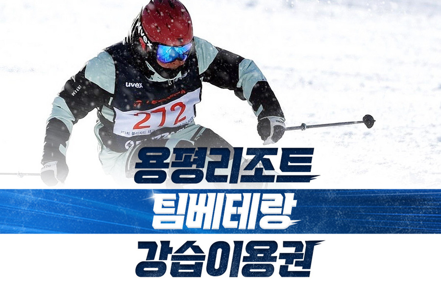 강원 평창 팀 베테랑 스키 강습