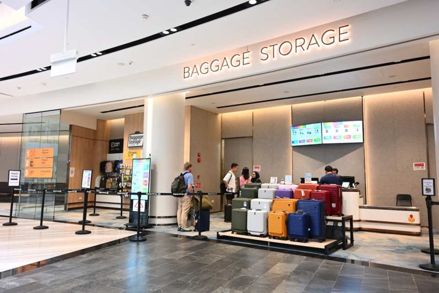 Singapore Changi Airport Luggage Delivery Service