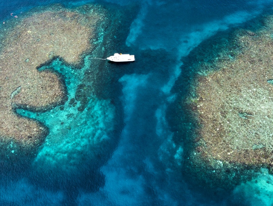 [프로모션] 미야코지마 야비지 보트 스노클링 투어