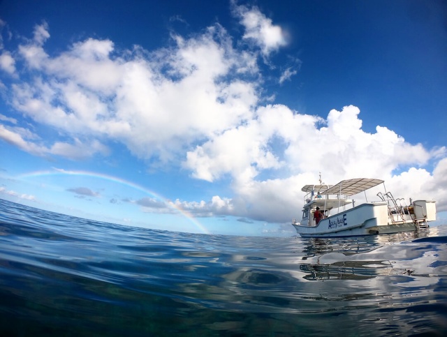 [프로모션] 미야코지마 야비지 보트 스노클링 투어