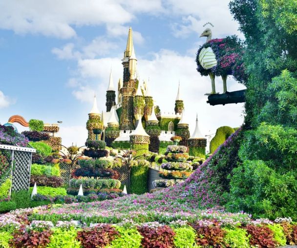 activity_detail_image