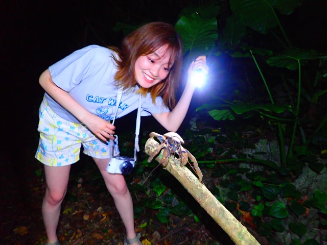 미야코지마 별빛 정글 나이트 투어