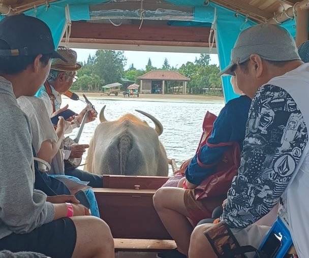 activity_detail_image