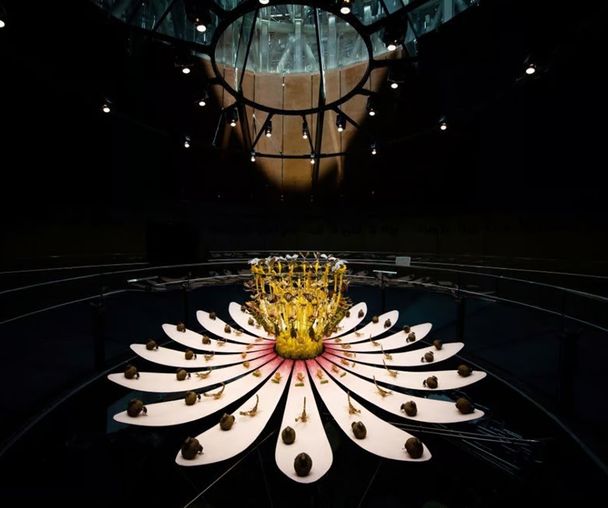 activity_detail_image