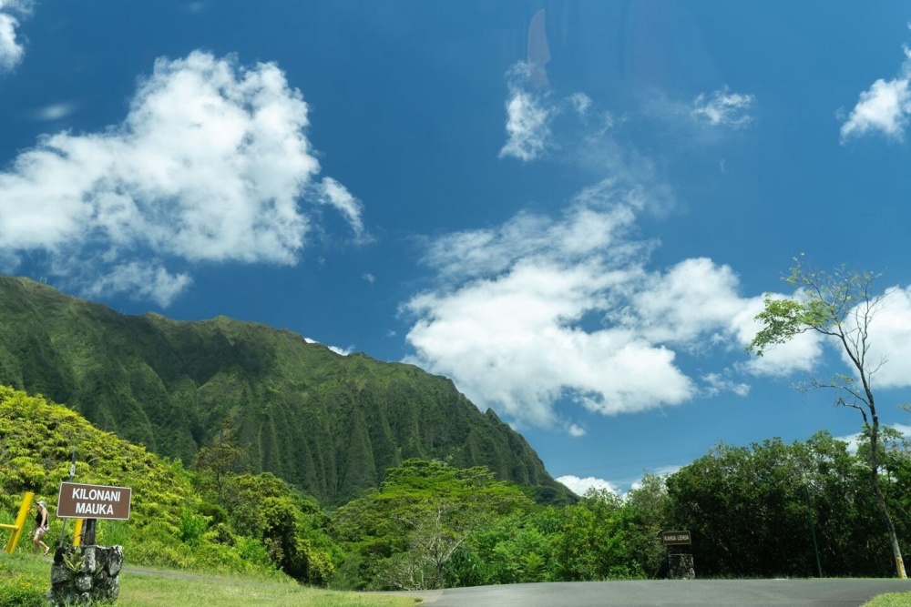 하와이 와이키키 출발: 인스타그램 포토 스팟 일일 투어