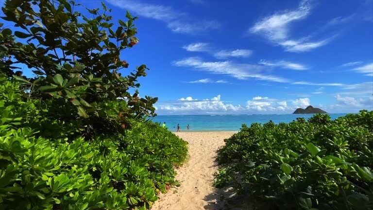 하와이 와이키키 출발: 인스타그램 포토 스팟 일일 투어