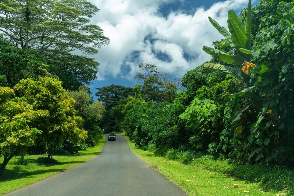 하와이 와이키키 출발: 인스타그램 포토 스팟 일일 투어