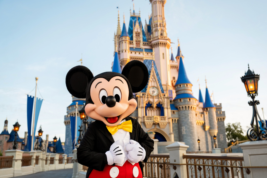 Walt Disney World Resort Ticket