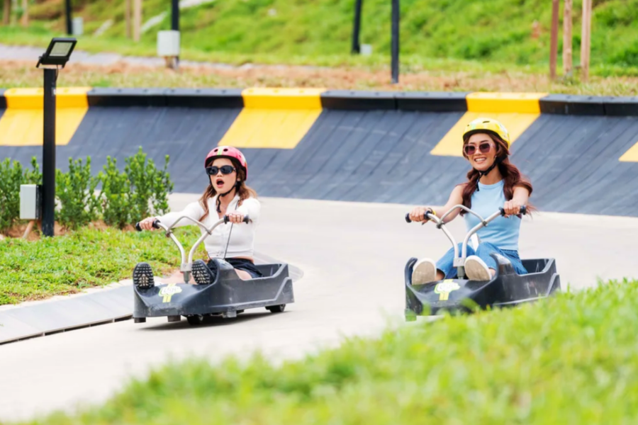 [독점할인] 쿠알라룸푸르 원데이 쿼드러플 콤보 투어 (루지 + 애니멀파크 + 반딧불 + 블루티어)