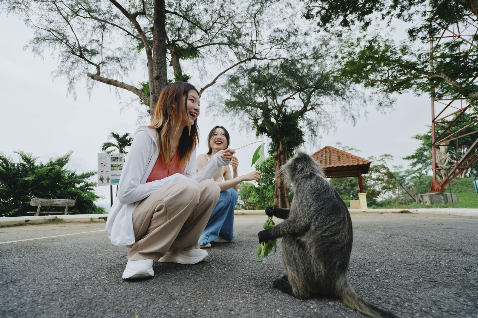 [독점할인] 쿠알라룸푸르 바투 동굴 & 블루티어 그리고 반딧불 투어 - 바.블.반 투어