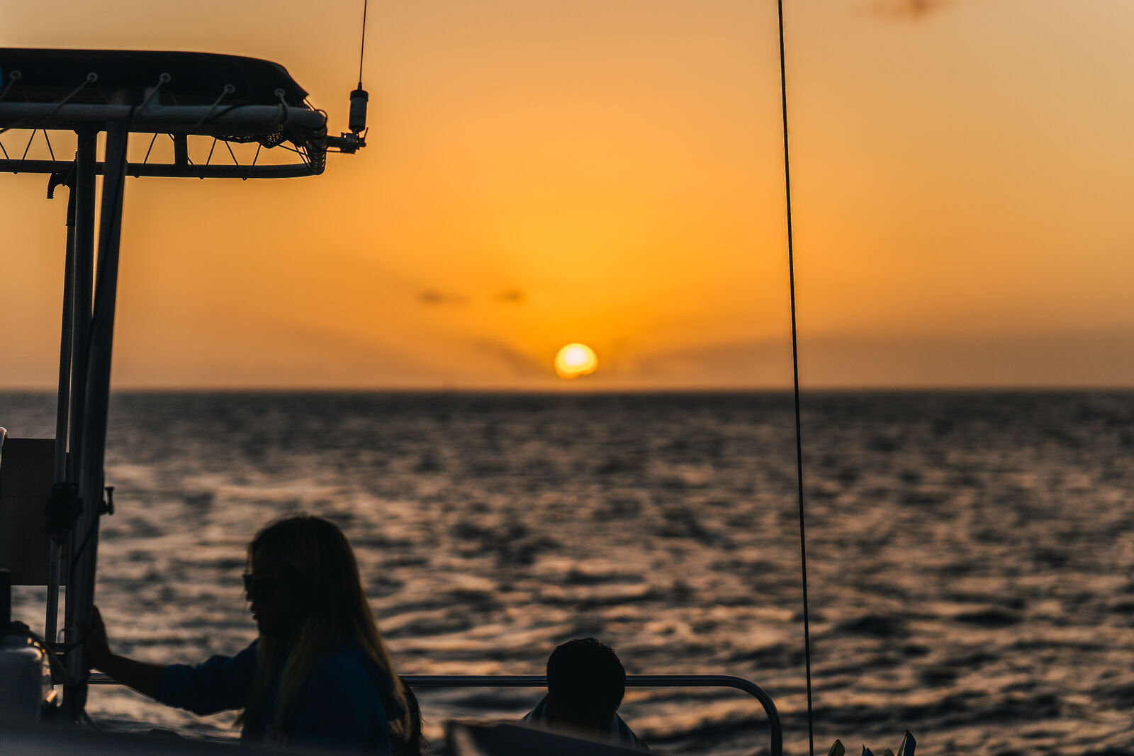 하와이 프리미엄 선셋 세일링 & 거북이 스노클링 & 해양 5종 액티비티 투어