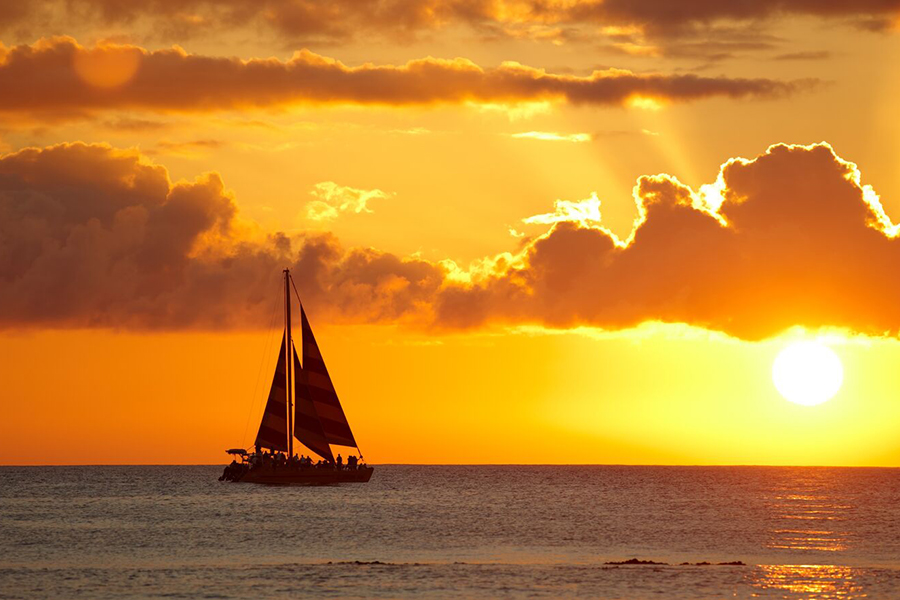 [독점할인] 하와이 프리미엄 선셋 거북이 스노클링 + 돌핀 크루즈 + 해양 액티비티 5종 체험 (한인가이드 & 다양한 스낵 제공)