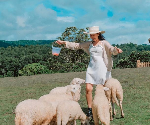 activity_detail_image