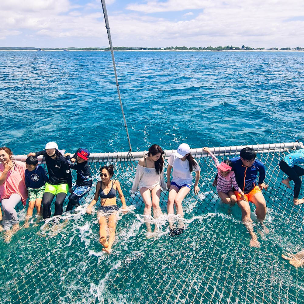 [독점할인] [OTT시드니] 특별 콤보 포트스테판 X 선셋 별보기 블루마운틴 & 페더데일 동물원 2일 투어