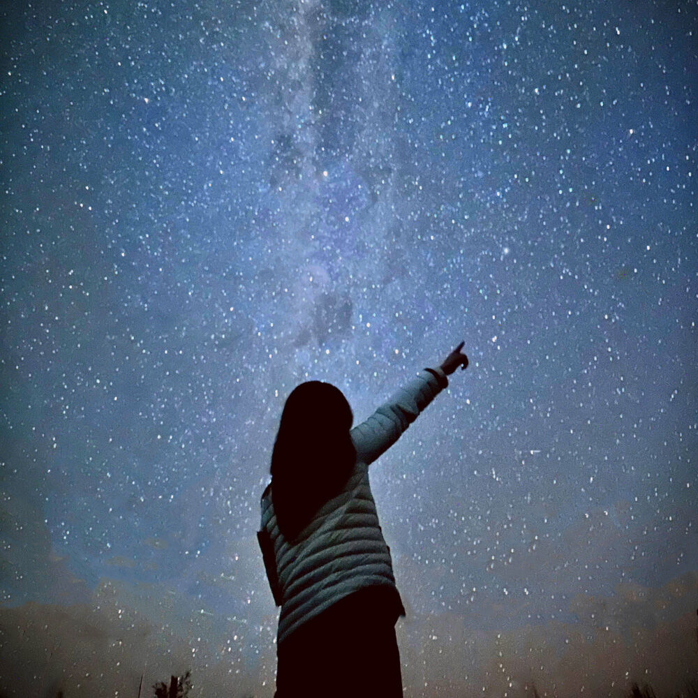 [독점할인] [OTT시드니] 특별 콤보 포트스테판 X 선셋 별보기 블루마운틴 & 페더데일 동물원 2일 투어