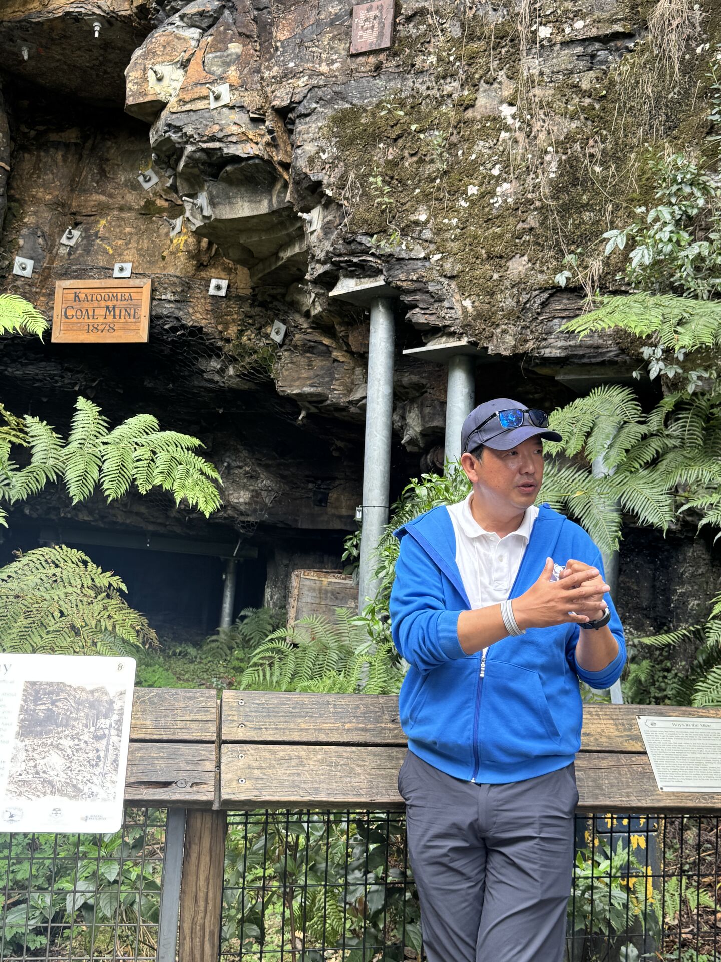 [고호주] 해리 가이드와 다시 오고 싶은 시드니 블루 마운틴 + 페더데일 오픈런 투어 (쿼카 먹이 제공)