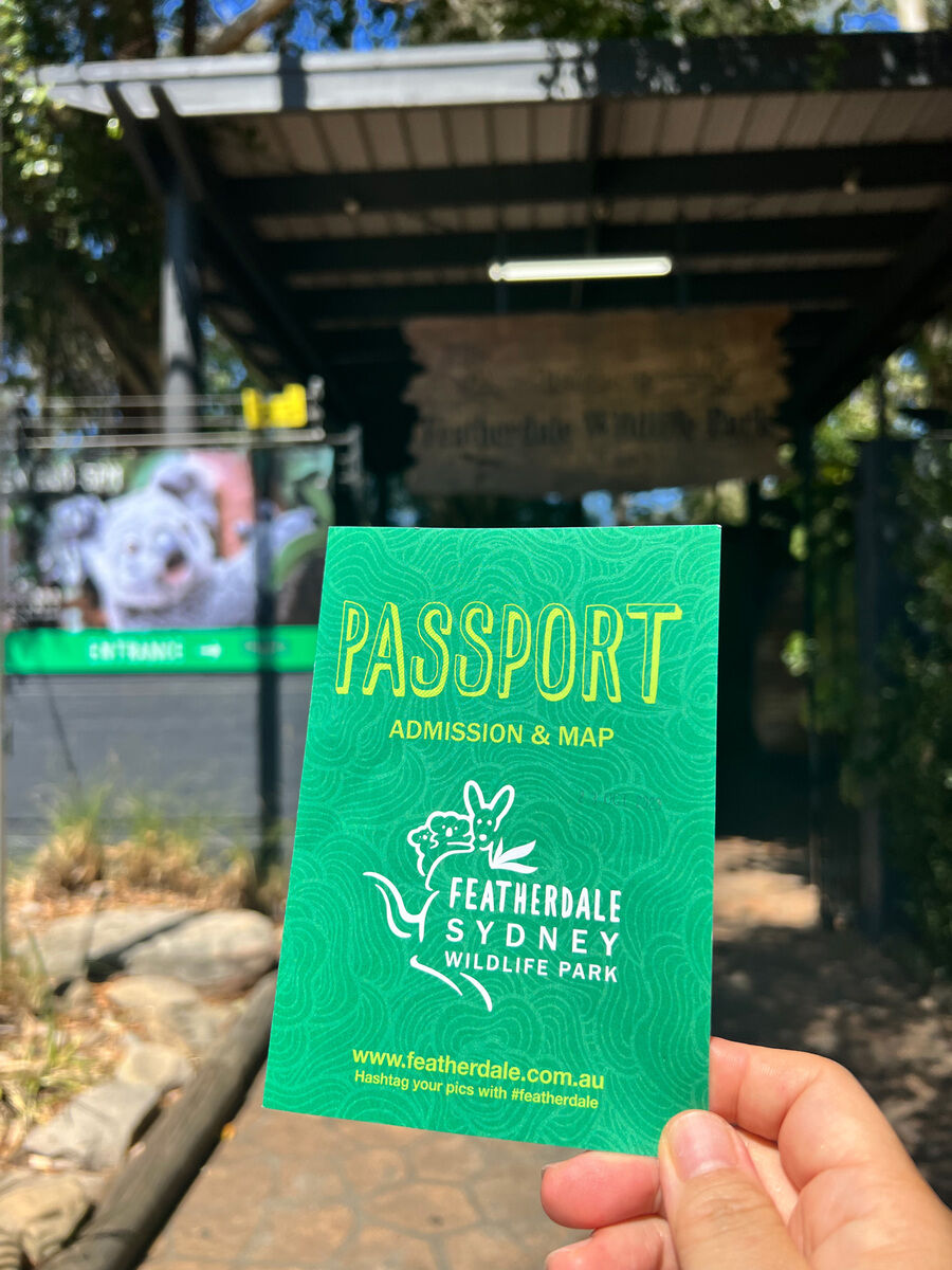 [고호주] 해리 가이드와 다시 오고 싶은 시드니 블루 마운틴 + 페더데일 오픈런 투어 (쿼카 먹이 제공)